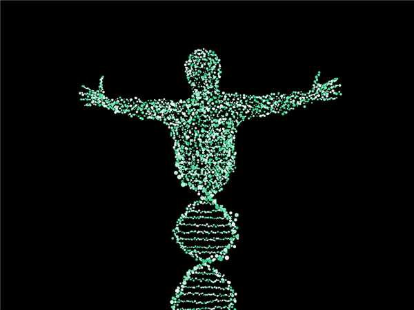 DNA of Human